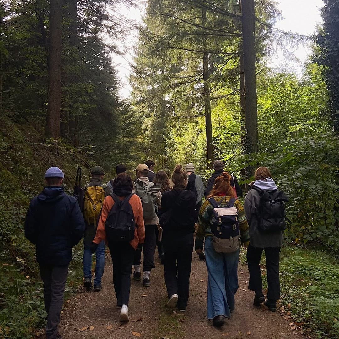 Gruppe wandernd im Wald