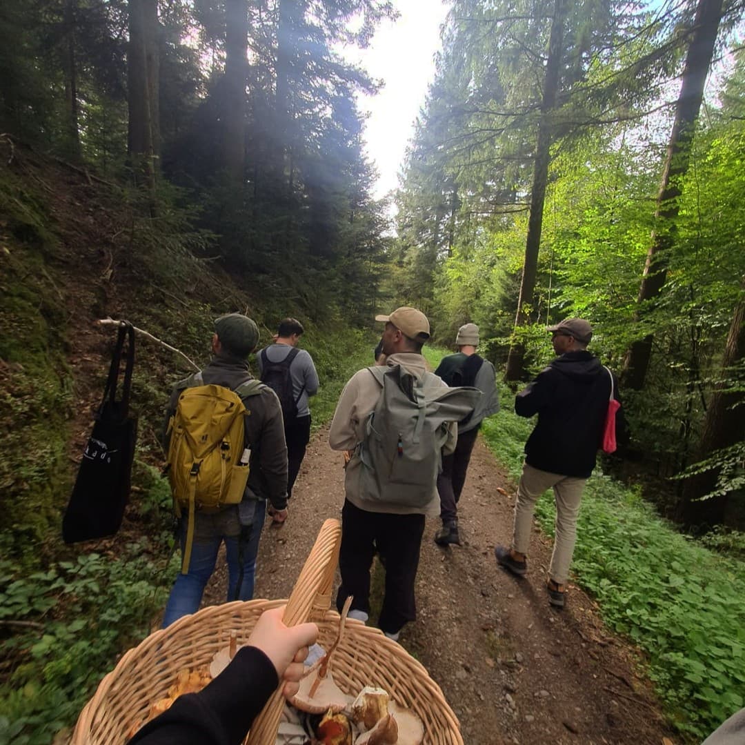 Gruppe wandernd im Wald