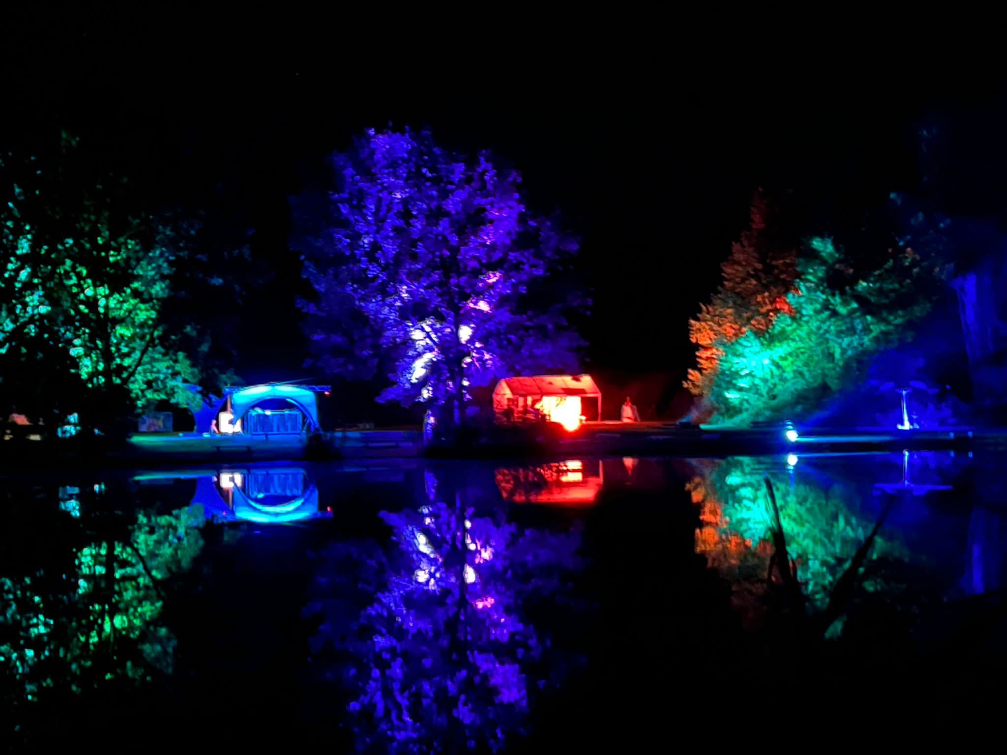 Beleuchtete Bäume an See bei Nacht