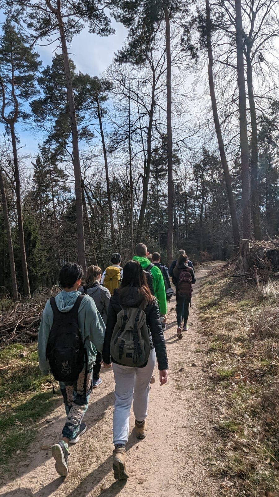 Gruppe von hinten auf dem Wanderweg