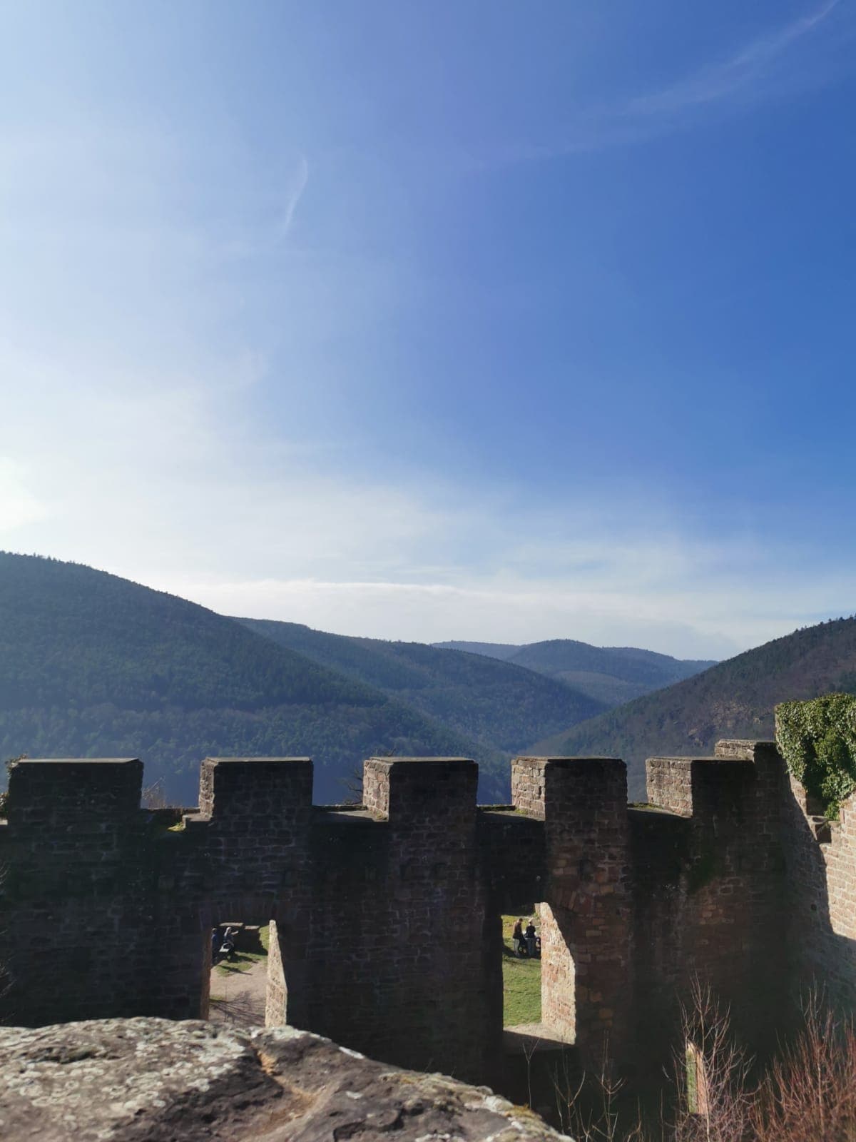 Ausblick von der Wolfsburg auf den Pfälzer Wald