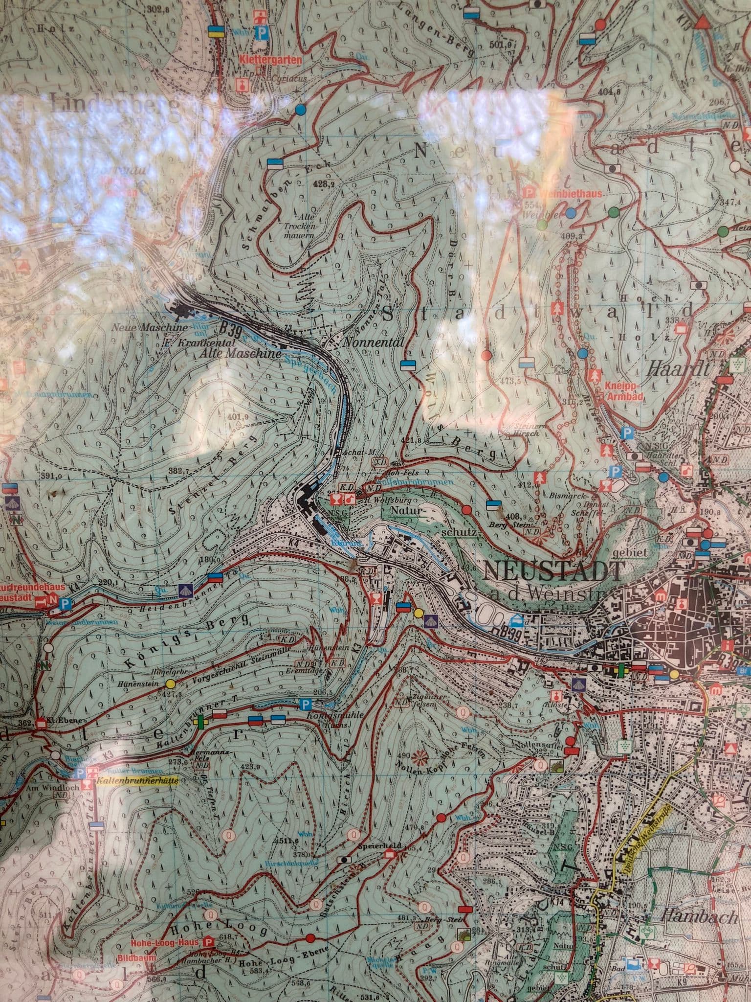 Karte von Wanderwegen um Neustadt an der Weinstraße