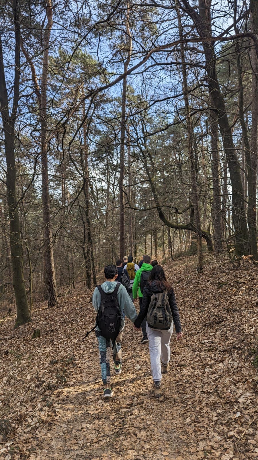Gruppe von hinten auf dem Nachhauseweg